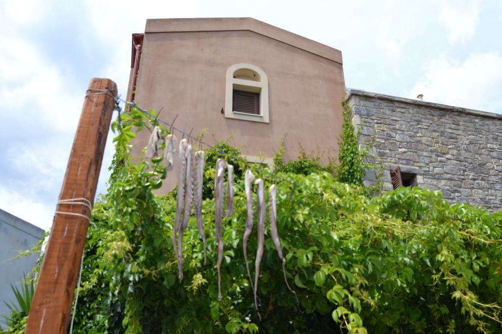 Chara House Konuk evi Skoutárion Dış mekan fotoğraf